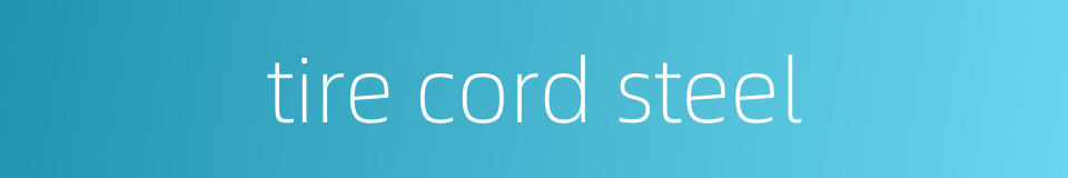 tire cord steel的同义词