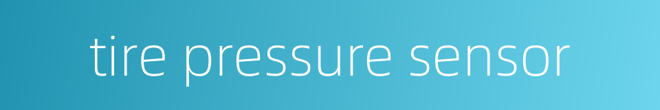tire pressure sensor的同义词