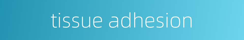tissue adhesion的同义词
