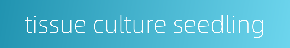 tissue culture seedling的同义词