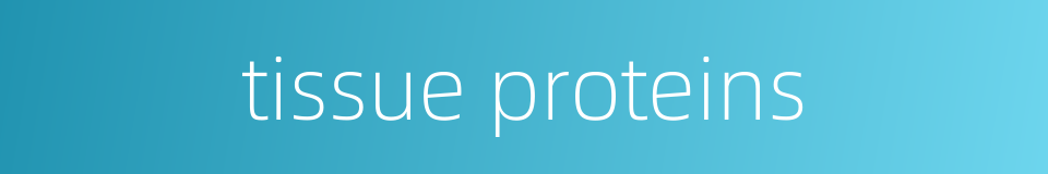 tissue proteins的同义词