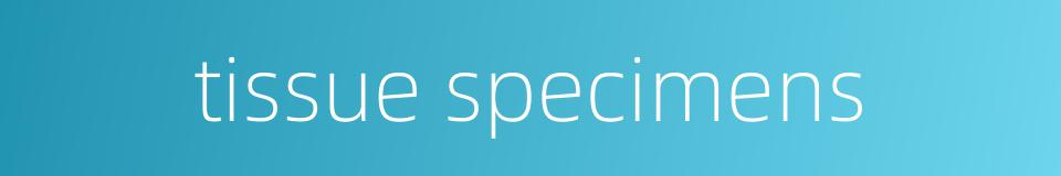 tissue specimens的同义词