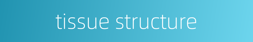 tissue structure的同义词
