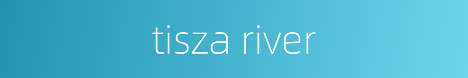 tisza river的同义词