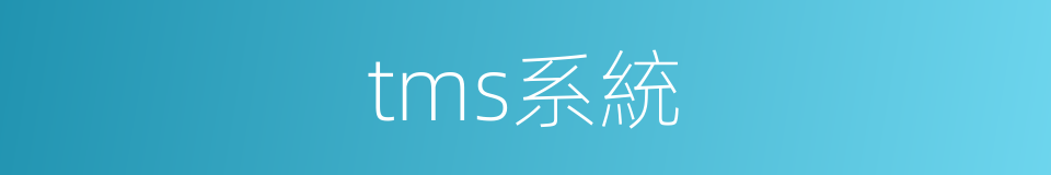 tms系統的同義詞