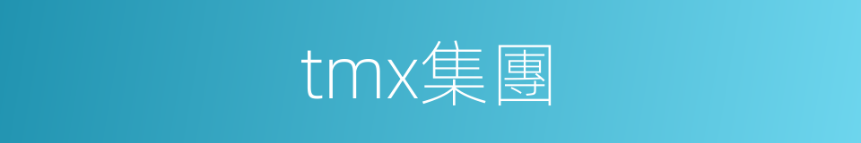 tmx集團的同義詞