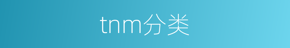 tnm分类的同义词