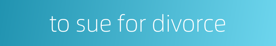 to sue for divorce的同义词