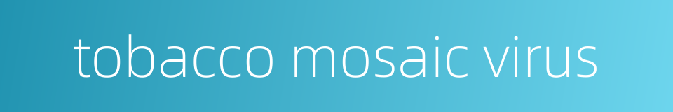 tobacco mosaic virus的同义词