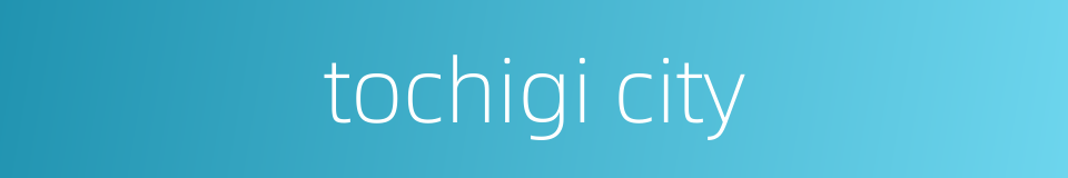 tochigi city的同义词