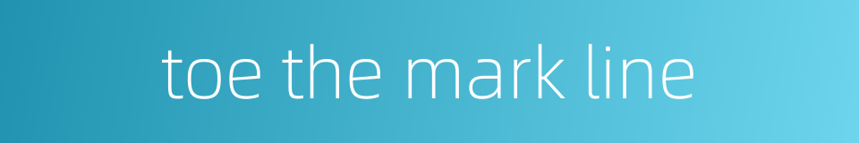 toe the mark line的同义词