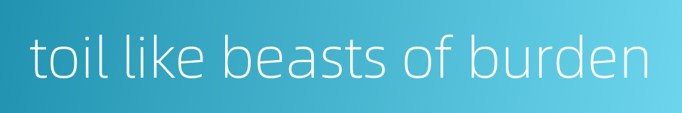 toil like beasts of burden的同义词