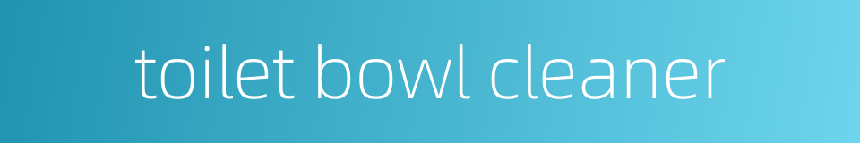 toilet bowl cleaner的同义词