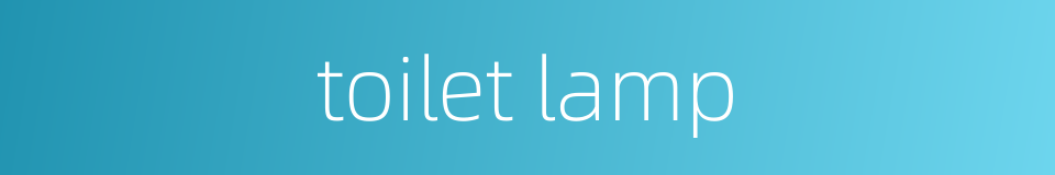 toilet lamp的同义词