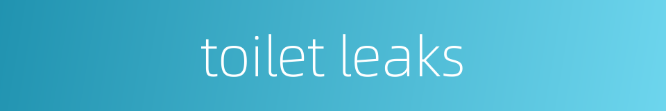 toilet leaks的同义词