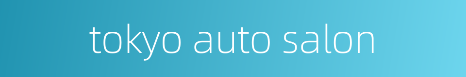 tokyo auto salon的同义词