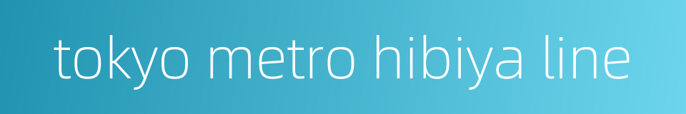 tokyo metro hibiya line的同义词