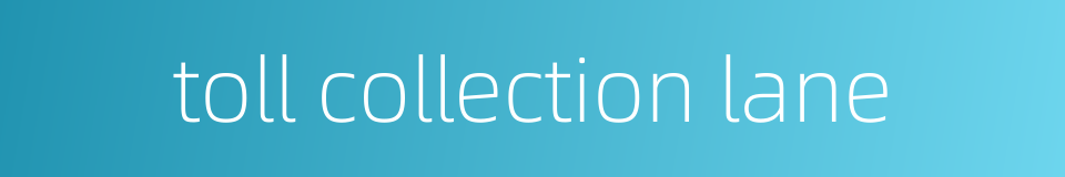 toll collection lane的同义词