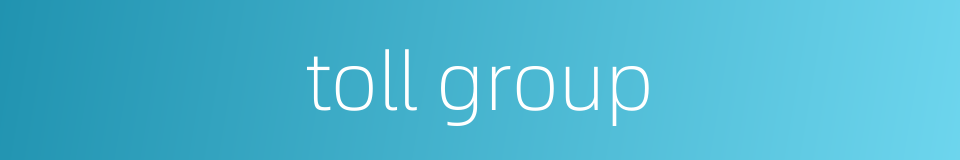 toll group的同义词