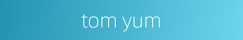 tom yum的同义词