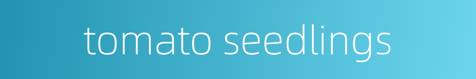 tomato seedlings的同义词