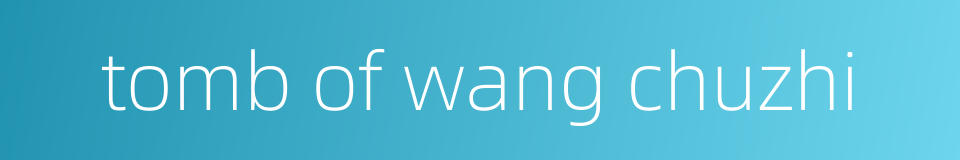 tomb of wang chuzhi的同义词