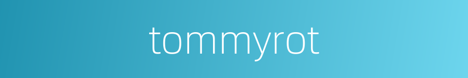 tommyrot的同义词