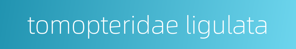 tomopteridae ligulata的同义词