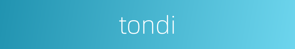 tondi的同义词