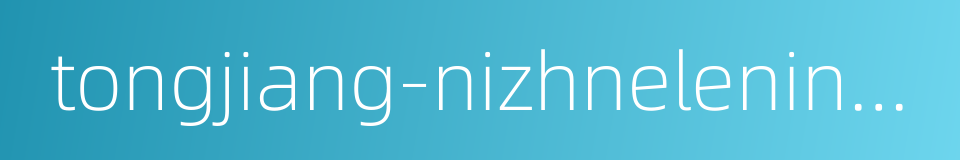 tongjiang-nizhneleninskoye railway bridge的同义词