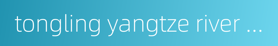 tongling yangtze river bridge的同义词