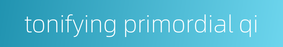 tonifying primordial qi的同义词