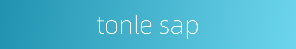 tonle sap的同义词