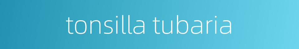 tonsilla tubaria的同义词