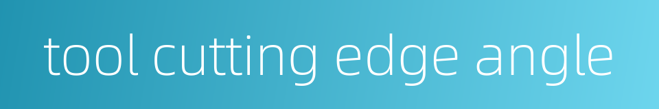 tool cutting edge angle的同义词