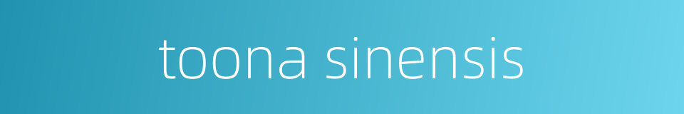 toona sinensis的同义词