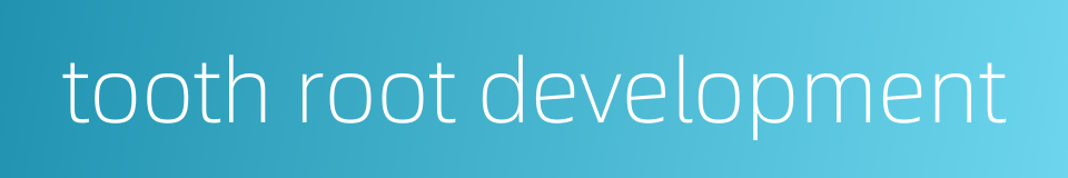 tooth root development的同义词
