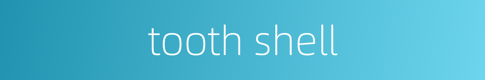 tooth shell的同义词