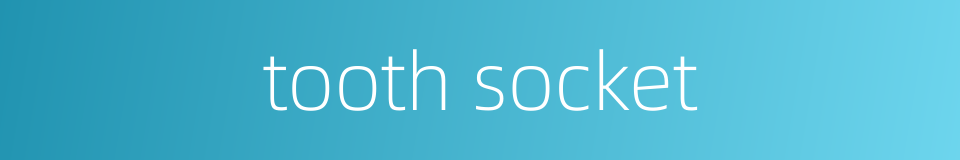 tooth socket的同义词