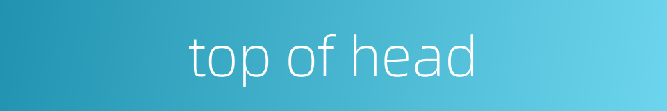 top of head的同义词