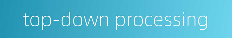 top-down processing的同义词