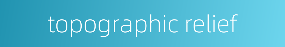 topographic relief的同义词