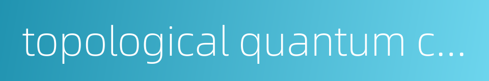 topological quantum computation的同义词