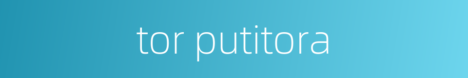 tor putitora的同义词
