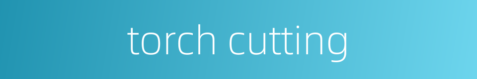 torch cutting的同义词