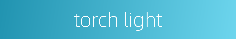 torch light的同义词