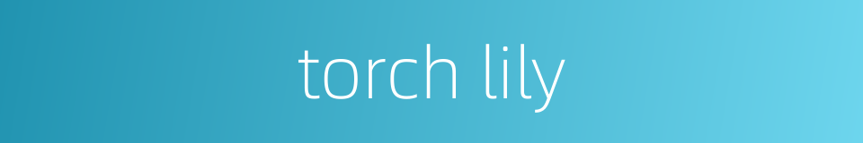 torch lily的同义词