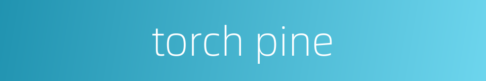 torch pine的同义词