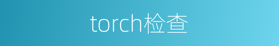 torch检查的同义词