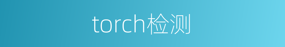 torch检测的同义词